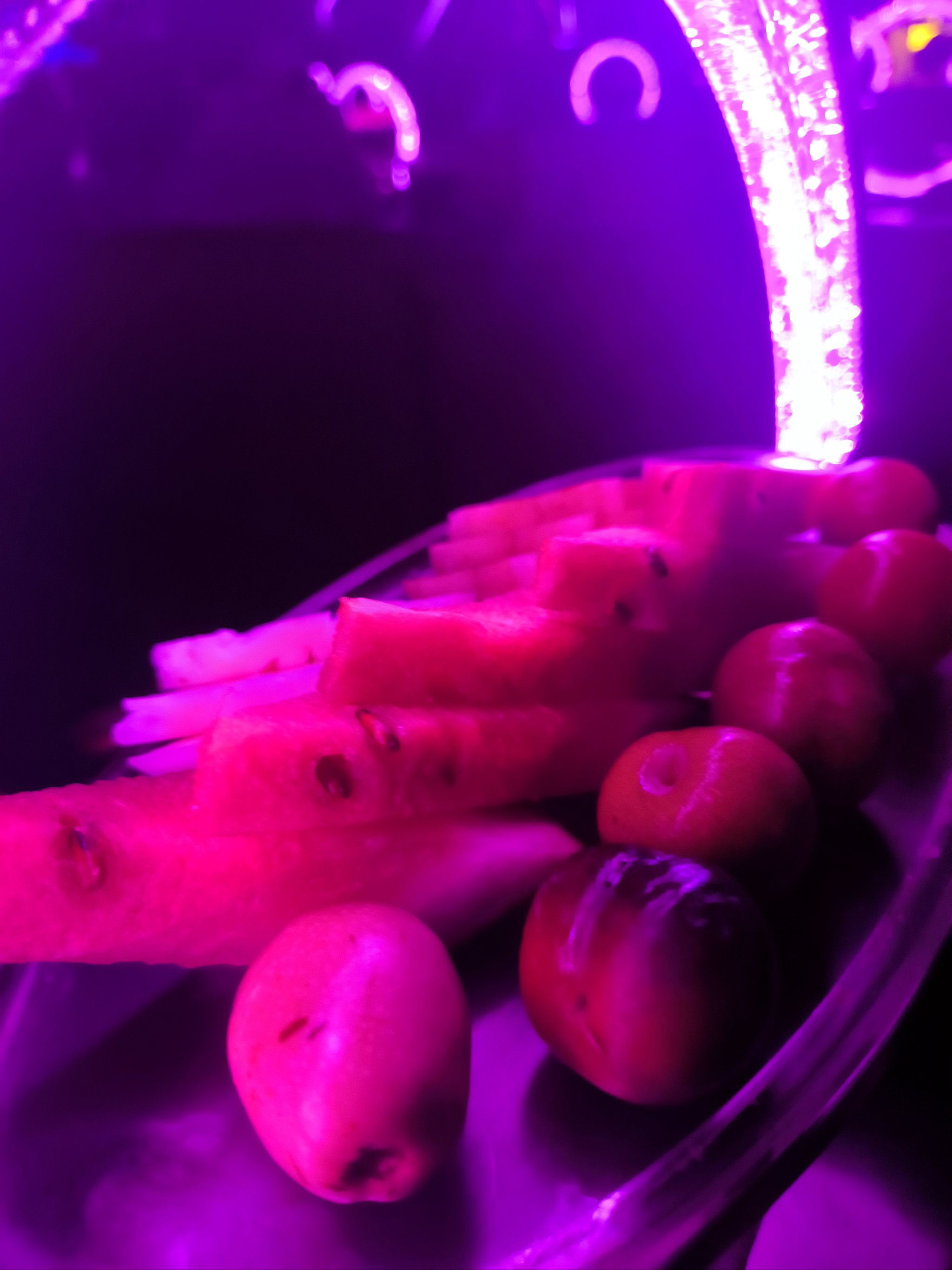 南阳商务ktv划算吗值得一试-唐河县ktv预定